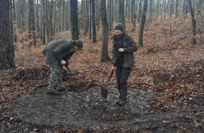 {Leśnicy z Lidzbarka uwidocznili tajemnicze kręgi, znajdujące się w tamtejszym lesie.}